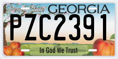 GA license plate PZC2391