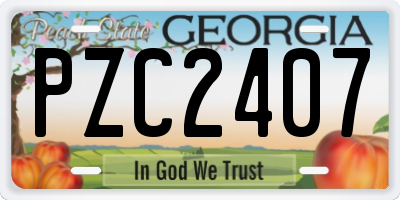 GA license plate PZC2407