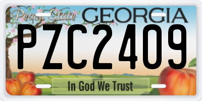 GA license plate PZC2409
