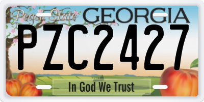 GA license plate PZC2427