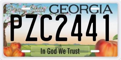 GA license plate PZC2441