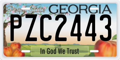 GA license plate PZC2443