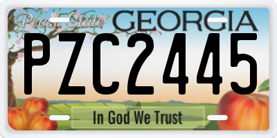 GA license plate PZC2445