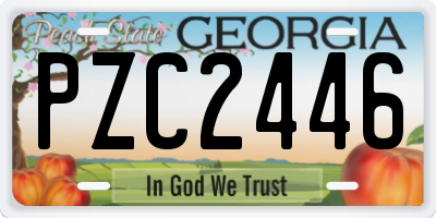 GA license plate PZC2446