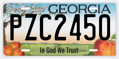 GA license plate PZC2450