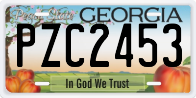 GA license plate PZC2453