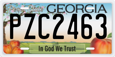 GA license plate PZC2463