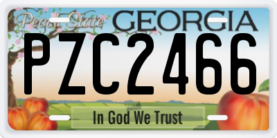 GA license plate PZC2466