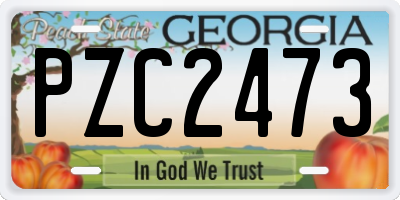 GA license plate PZC2473