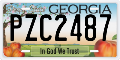 GA license plate PZC2487
