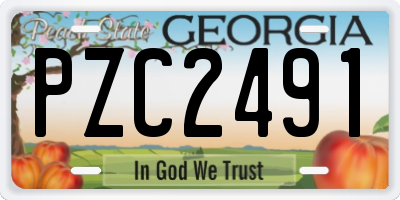GA license plate PZC2491