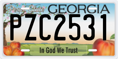 GA license plate PZC2531