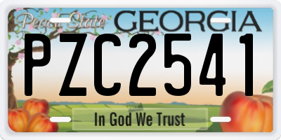 GA license plate PZC2541
