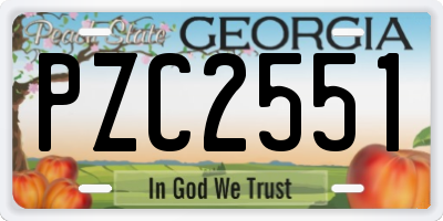 GA license plate PZC2551