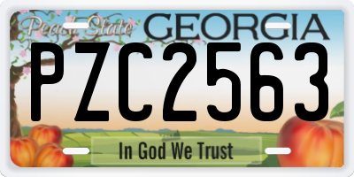 GA license plate PZC2563
