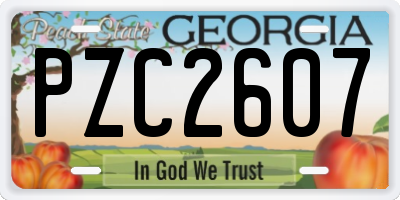GA license plate PZC2607