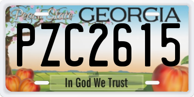 GA license plate PZC2615