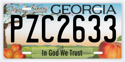 GA license plate PZC2633