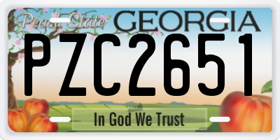 GA license plate PZC2651