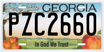 GA license plate PZC2660