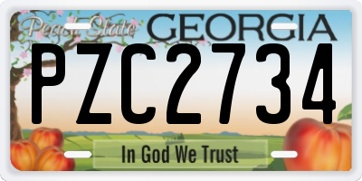 GA license plate PZC2734