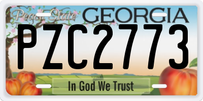 GA license plate PZC2773