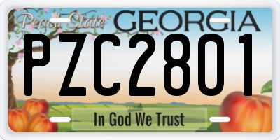 GA license plate PZC2801