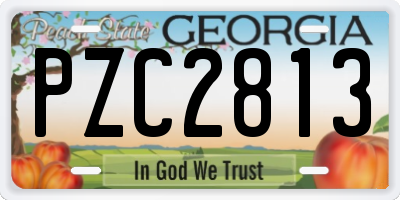 GA license plate PZC2813