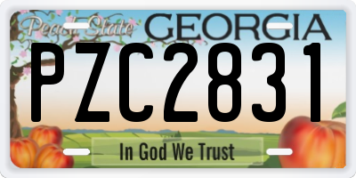 GA license plate PZC2831