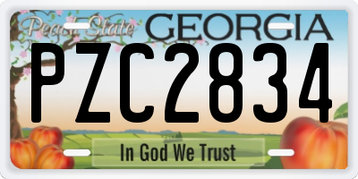 GA license plate PZC2834
