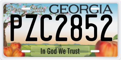 GA license plate PZC2852