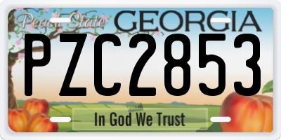 GA license plate PZC2853