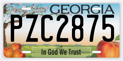 GA license plate PZC2875