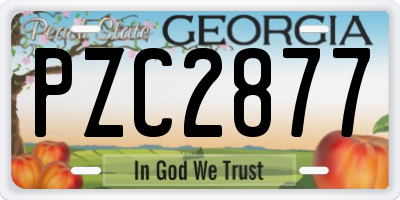 GA license plate PZC2877