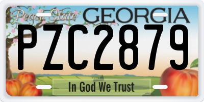 GA license plate PZC2879