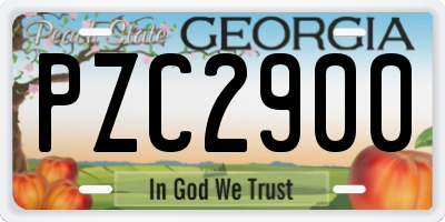 GA license plate PZC2900