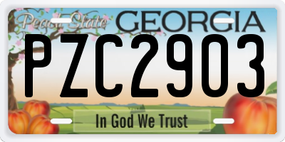 GA license plate PZC2903