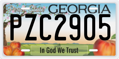 GA license plate PZC2905