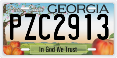 GA license plate PZC2913
