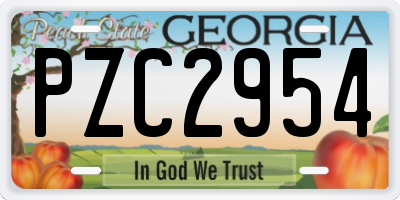 GA license plate PZC2954