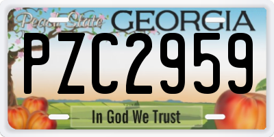GA license plate PZC2959