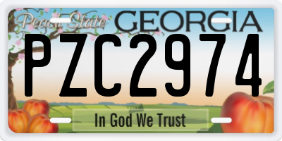 GA license plate PZC2974