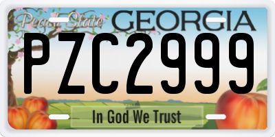 GA license plate PZC2999