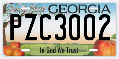GA license plate PZC3002