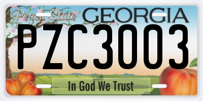 GA license plate PZC3003