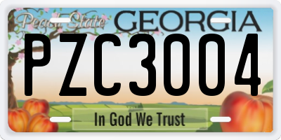 GA license plate PZC3004