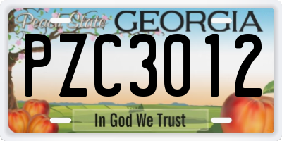 GA license plate PZC3012