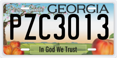 GA license plate PZC3013