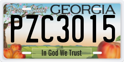 GA license plate PZC3015