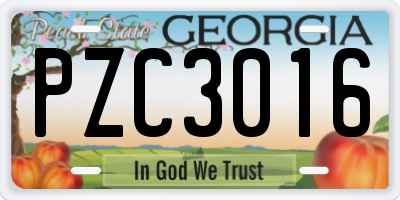 GA license plate PZC3016
